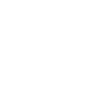 WhatsApp Icon